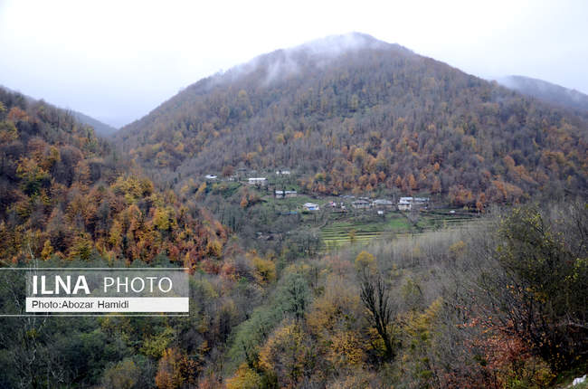 طبیعت پاییزی گیلان