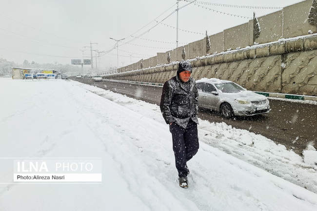 قزوین در آغوش برف به روایت تصویر