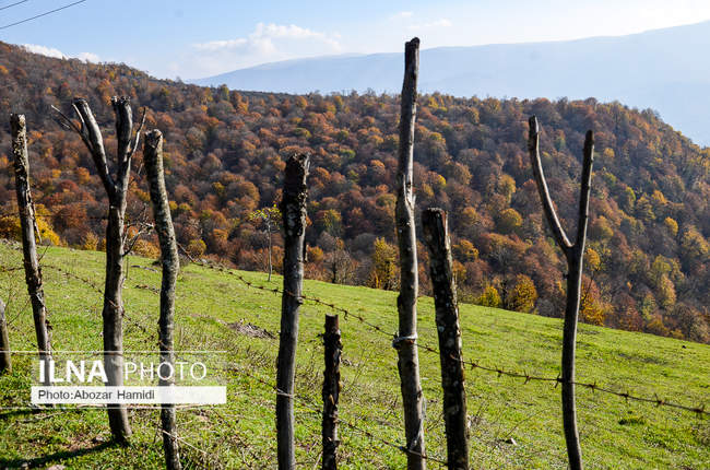 طبیعت پاییزی رودبار