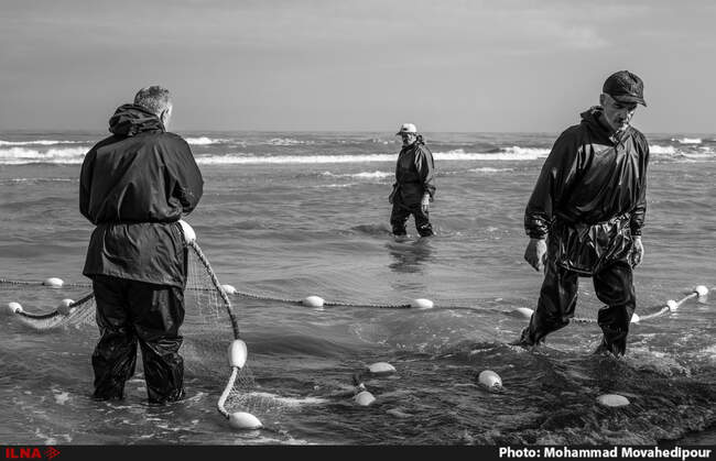 Fishing18