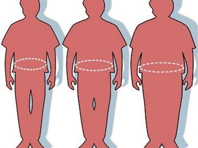 نسبت دور کمر به اندازه قد چقدر باید باشد؟