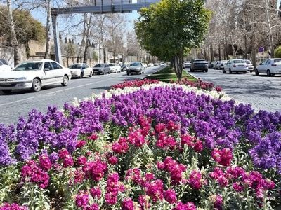 امسال ۹۸۵هزار اصله درخت در شیراز کاشت شد