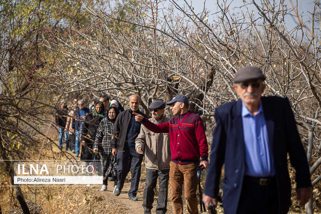 باغستان سنتی؛ میراث کهن مردم قزوین 