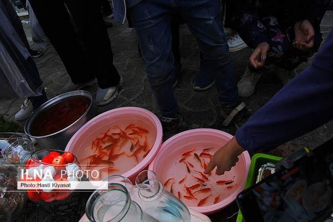 برآمد بوی صبح و بوی نوروز