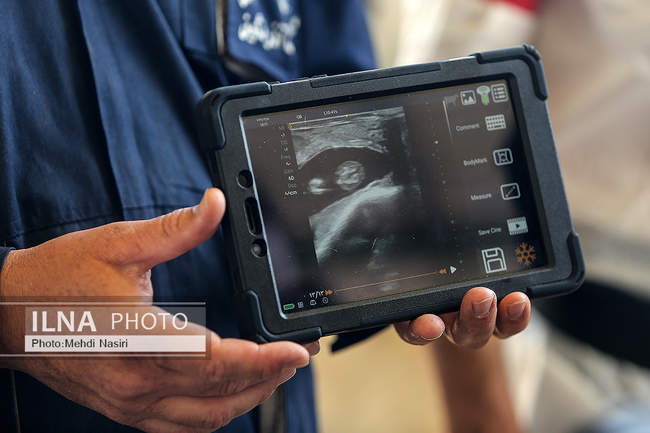 امنیت غذایی کشور از طریق دام و طیور