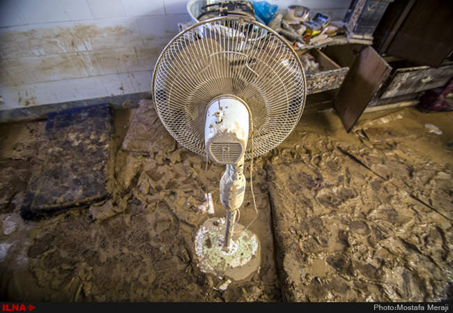 خانه به گل نشسته یک نوعروس؛ دستاورد دیگر شهرداری قم