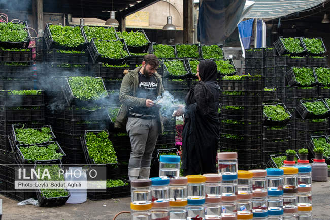 هفت سین در بازار عمده فروشان