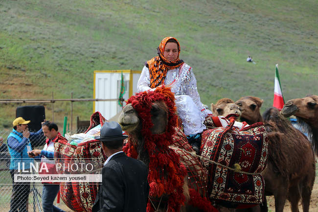 برگزاری سی‌امین جشنواره فرهنگی، ورزشی عشایر آذربایجان