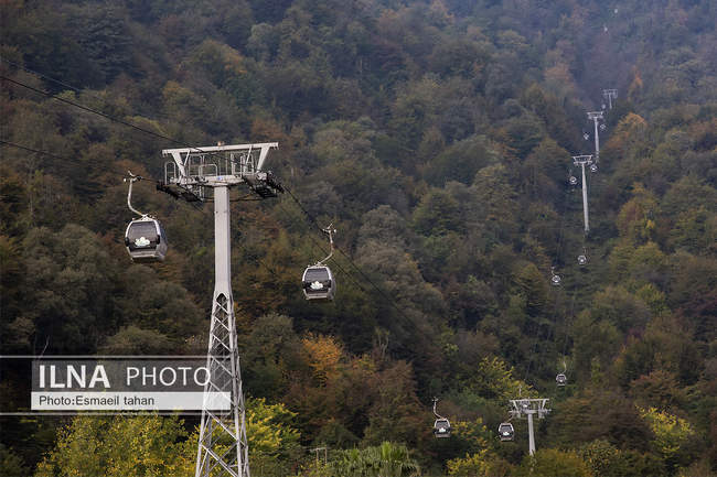 چشم انداز جنگل و دریا در قاب طبیعت
