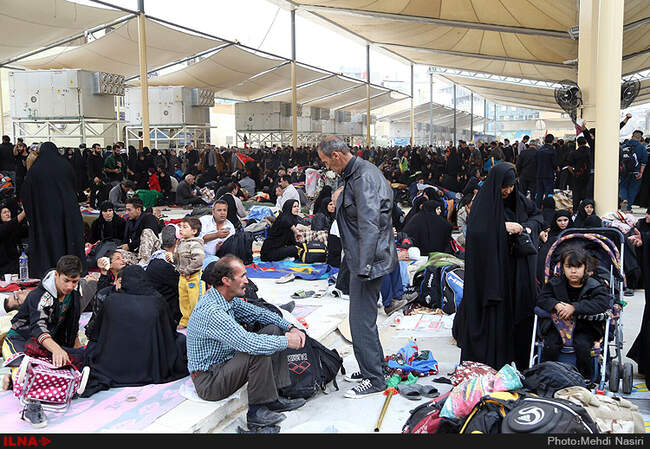 زائران اربعین حسینی در نجف اشرف/4