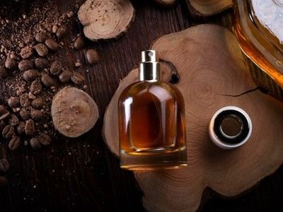 برای تولید عطرها با رایحه تلخ از چه اسانس‌هایی استفاده کنیم؟