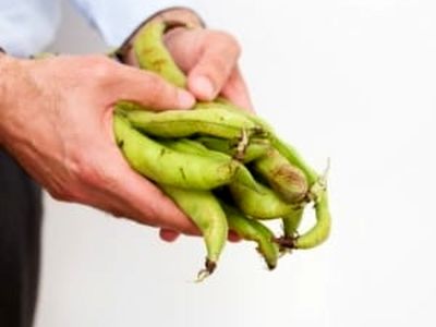 فواید باقلا تازه و خشک برای سلامت بدن و زیبایی پوست