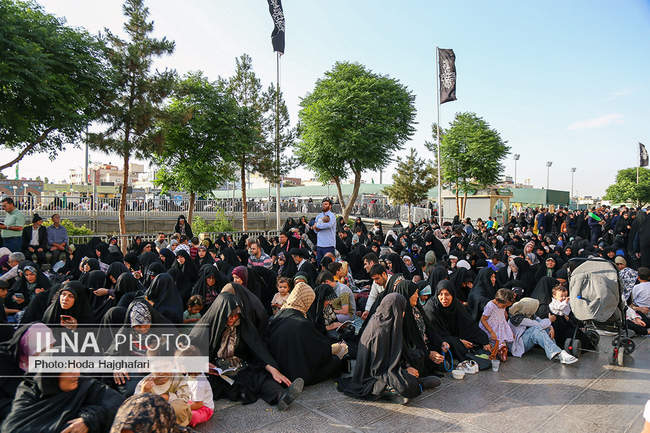 قرائت دعای «عرفه» - حرم حضرت معصومه(س)