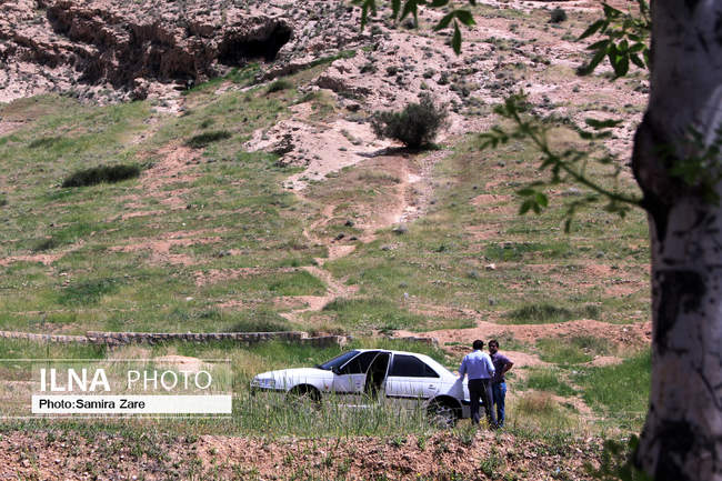 مردم شیراز با ماندن در خانه اتفاقی زیباتر از روز طبیعت را رقم زدند