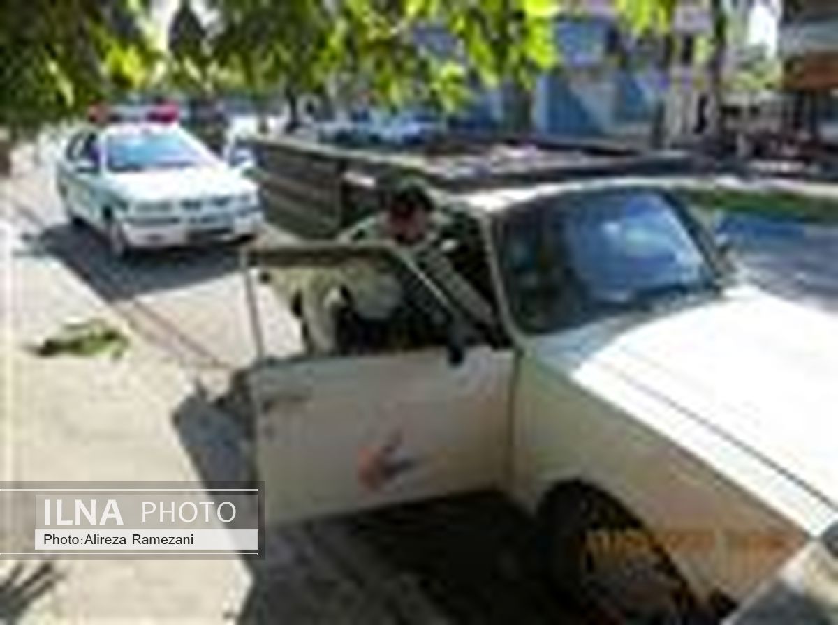 کشف و ضبط پرندگان شکار شده از یک دستگاه خودرو در آستانه اشرفیه