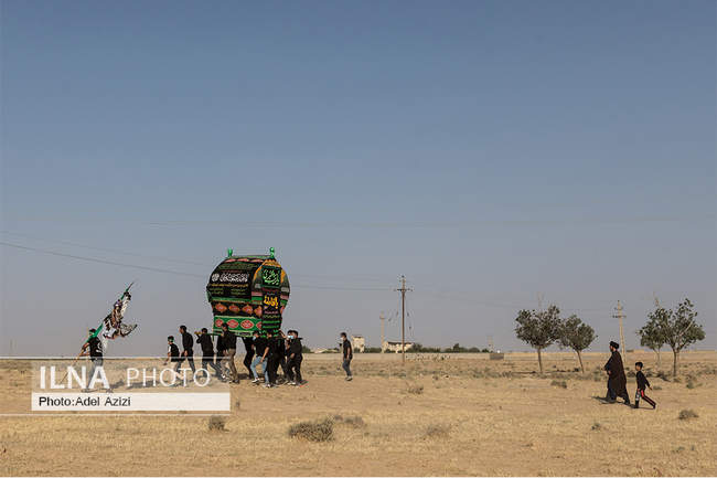 نخل‌گردانی روز عاشورا در پیرمراداباد اراک‎