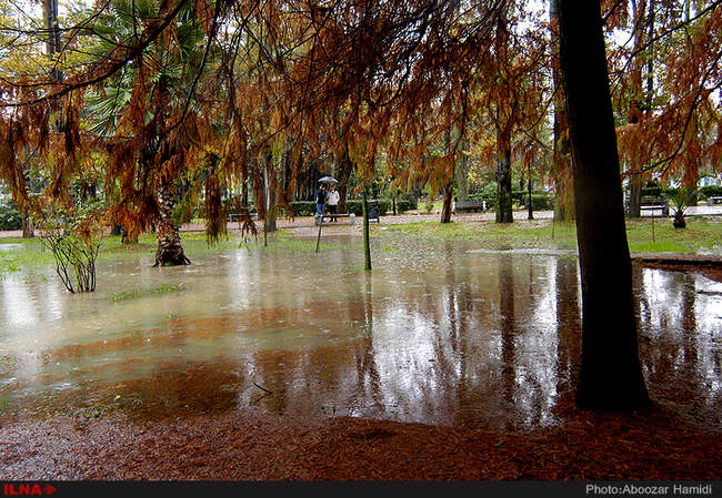 بارش باران در رشت
