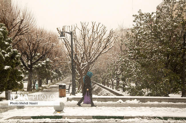 بارش برف زمستانی در تهران /2