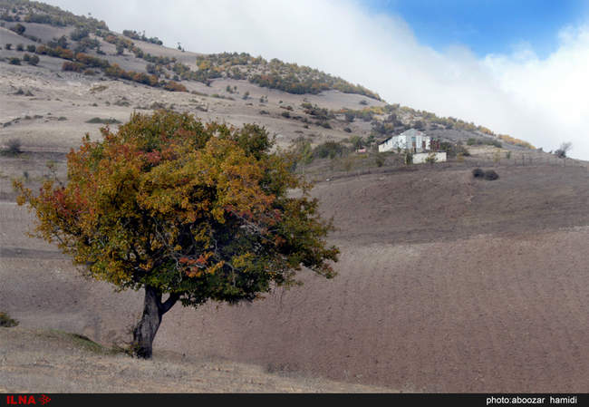 طبیعتِ پاییز در رودبار گیلان