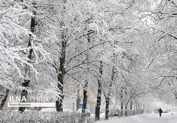 بارش برف در آوج به 14 سانتی‌متر رسید