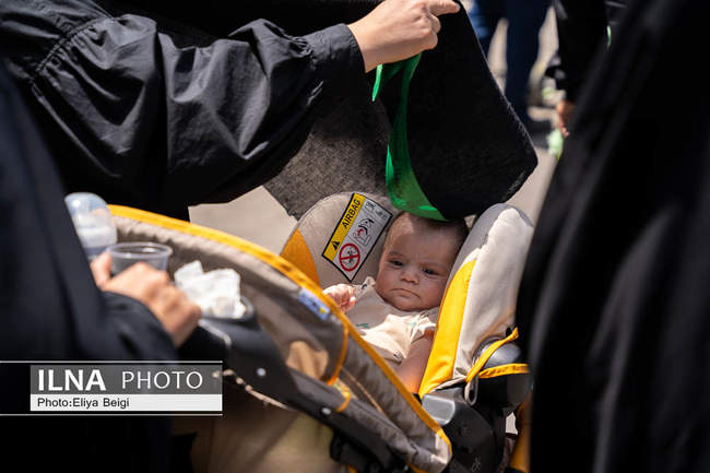 دسته‌های عزاداری در قزوین به روایت تصویر