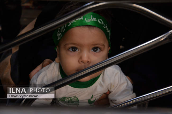 مراسم شیرخوارگان حسینی در حرم امام رضا (ع)