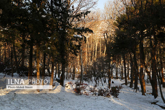 برف زمستانی پارک جمشیدیه
