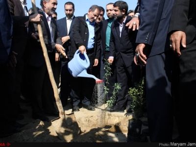 گزارش تصویری آغاز عملیات نهال‌کاری در کانون ریزگردها