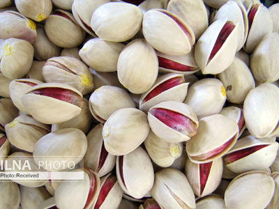 Iran exports $1.7 billion pistachio in one year: official