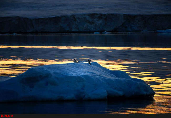 سفری به قطب جنوب