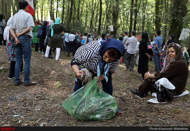سفر معصومه ابتکار به استان مازندران به مناسبت روز حفاظت از جنگل ها