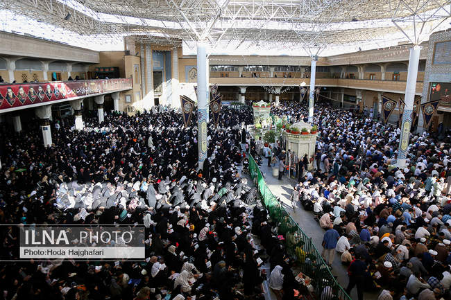 قرائت دعای «عرفه» - حرم حضرت معصومه(س)