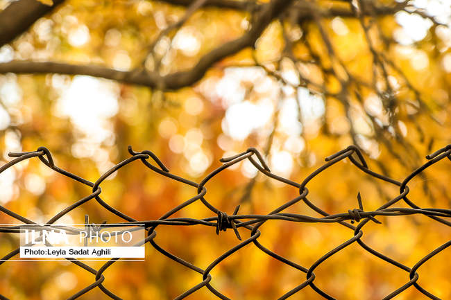 پاییز کرونایی، زیبا و پر خطر