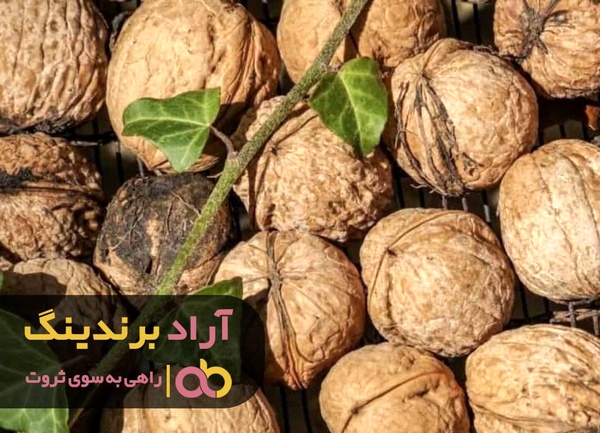 با گردو، پسته کوهی و تخمه ژاپنی ثروتمند شوید