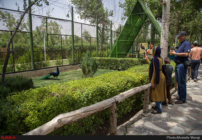 باغ پرندگان اصفهان