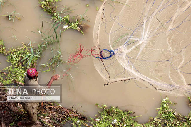 سیل در پاکستان