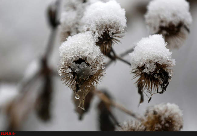 بارش برف زود هنگام در سراسر جهان