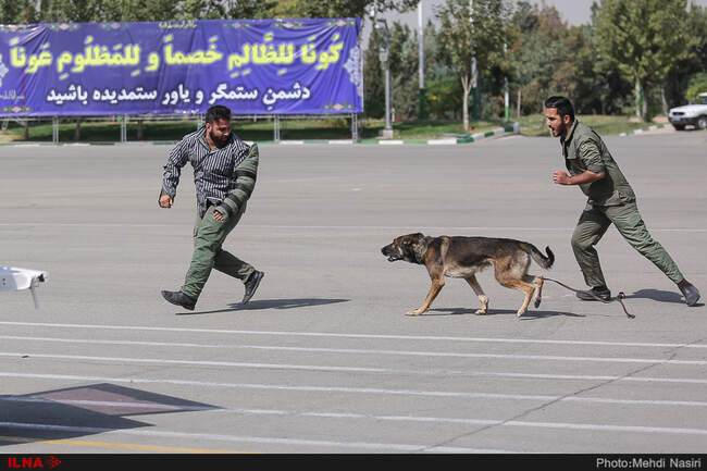 گزارش تصویری هشتمین نشست فرماندهان نیروی انتظامی با سفرا، کارداران و نمایندگان سازمان‌های بین المللی مستقر در تهران