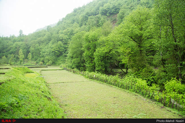 روستای دیورش