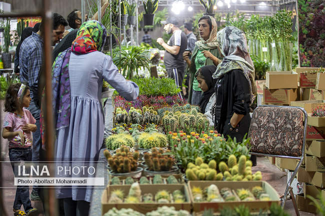 هشتمین نمایشگاه سراسری گل و گیاه در یزد