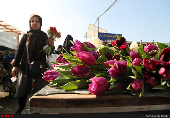 بازار گل و گیاه تهران در آستانه نوروز