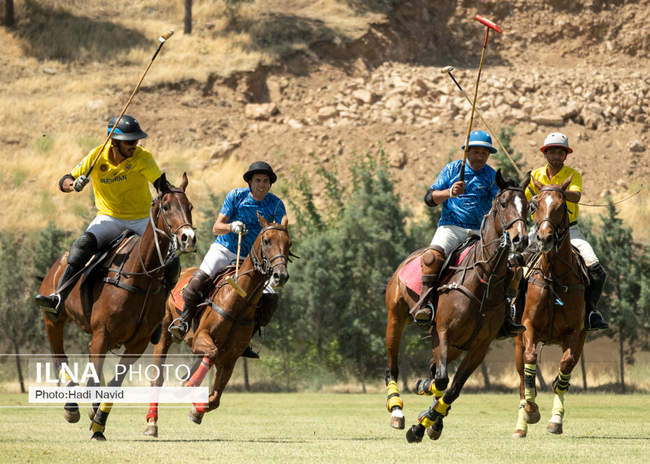 فینال رقابتهای چوگان جام مالکین