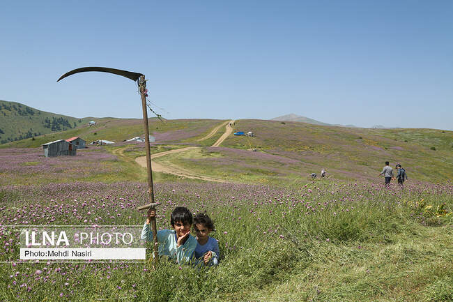 ییلاقات سلانسر