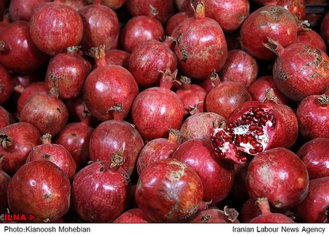 خرید شب یلدا در مصلی تهران