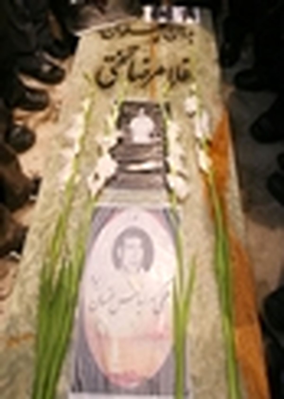 حضور آزادکاران سرشناس ژاپنی در جام تختی