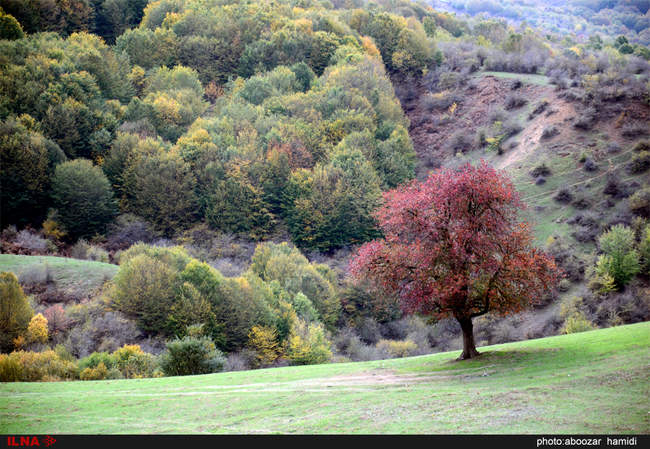 طبیعتِ پاییز در رودبار گیلان