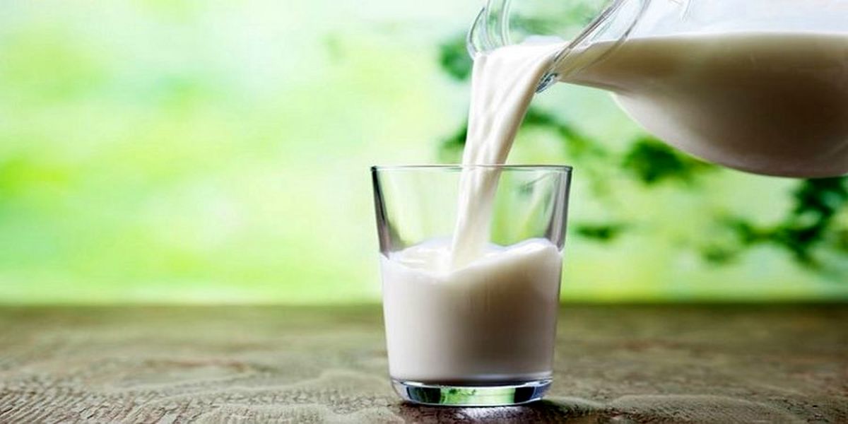 هزینه تولید شیر برای دامداران بیشتر از قیمت مصوب است