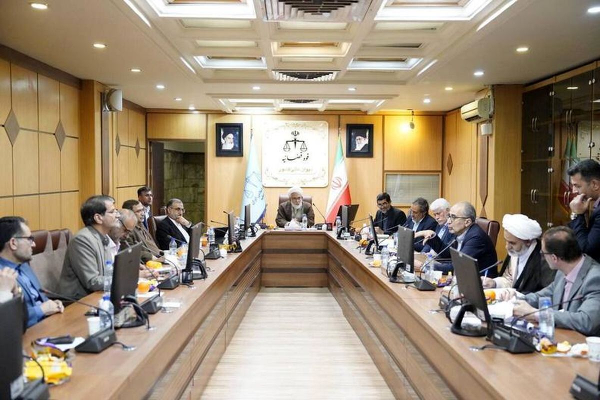  ارجاع ماهانه ۳ هزار پرونده عدم صلاحیت به دیوان عالی کشور