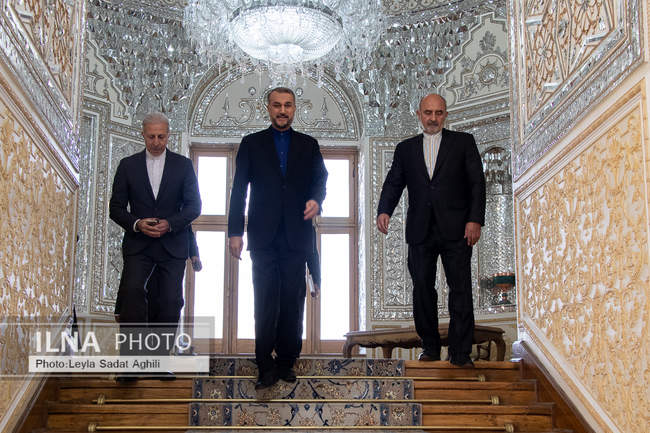 دیدار معاون وزیر خارجه ارمنستان با امیرعبداللهیان