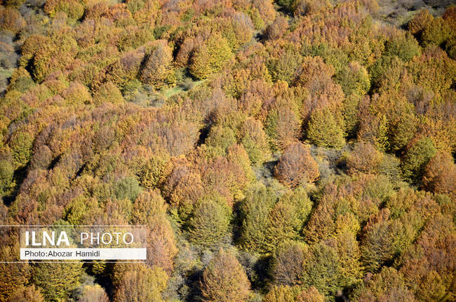 طبیعت پاییزی داماش - گیلان